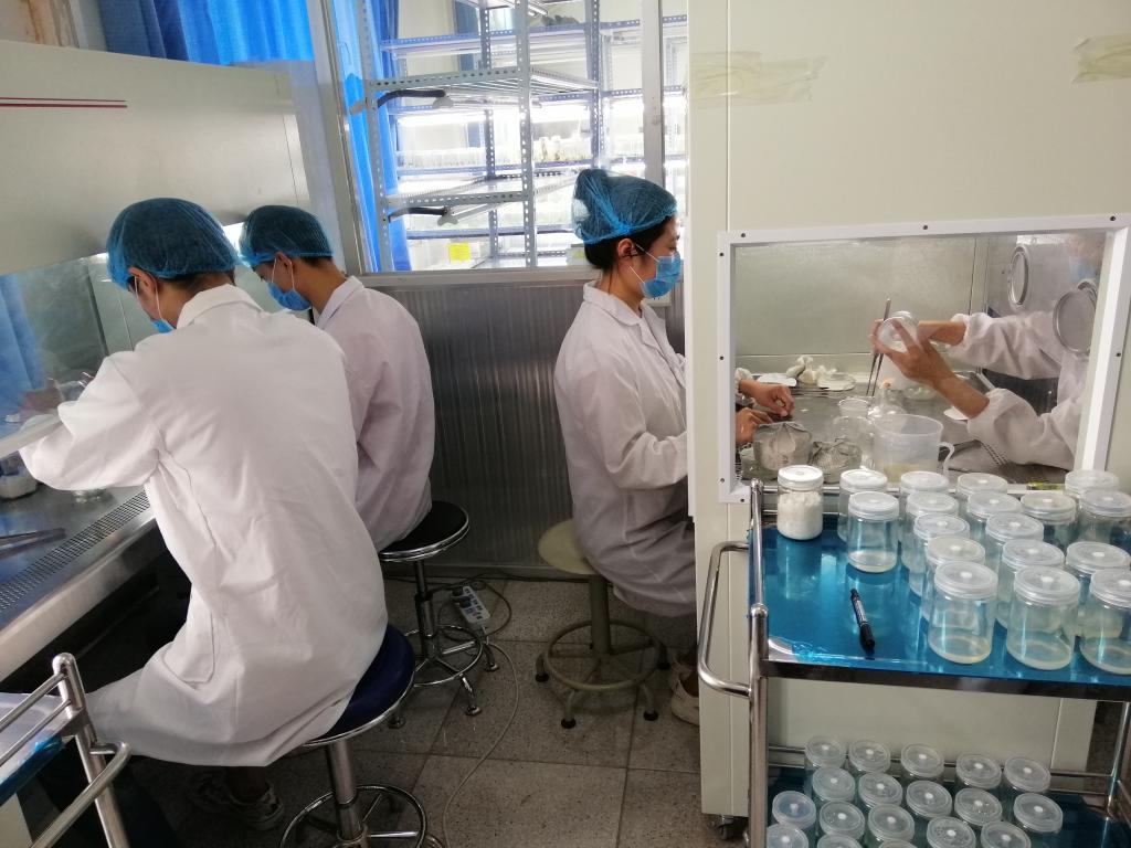 比赛现场