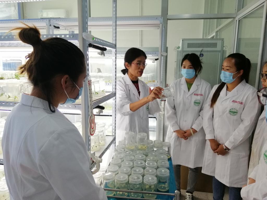 赵书珍老师赛后点评